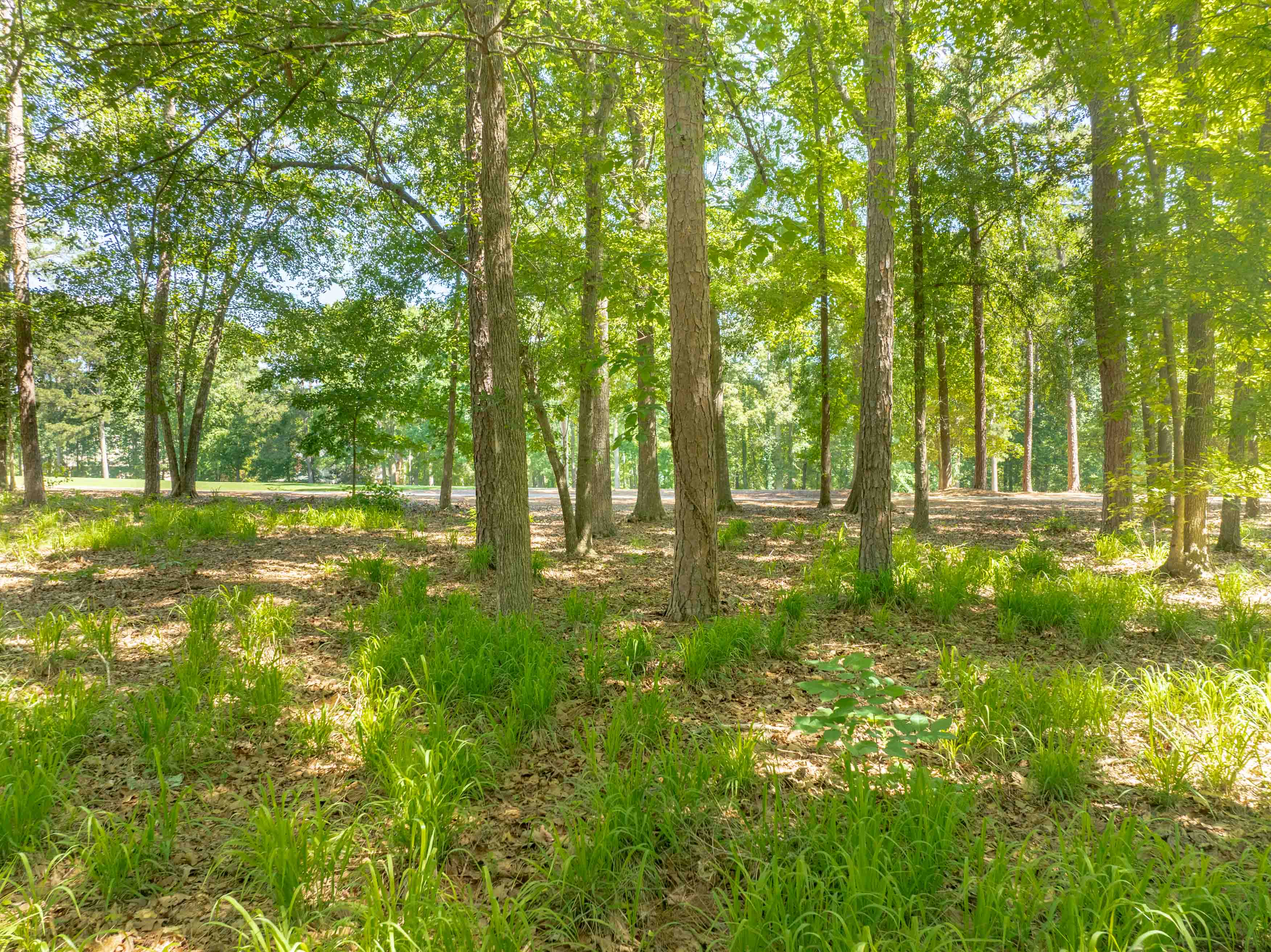 381 Reynolds Drive image 9